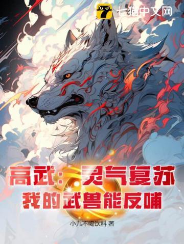 高武武魂