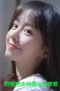 我被挖走神莲心后帝君杀疯了免费
